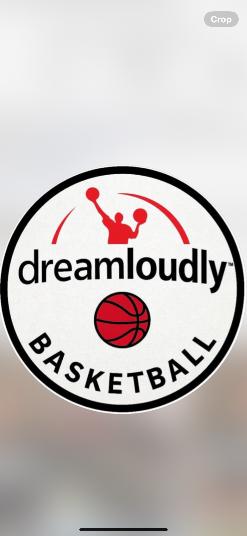 Dream Loudly 15U - 1