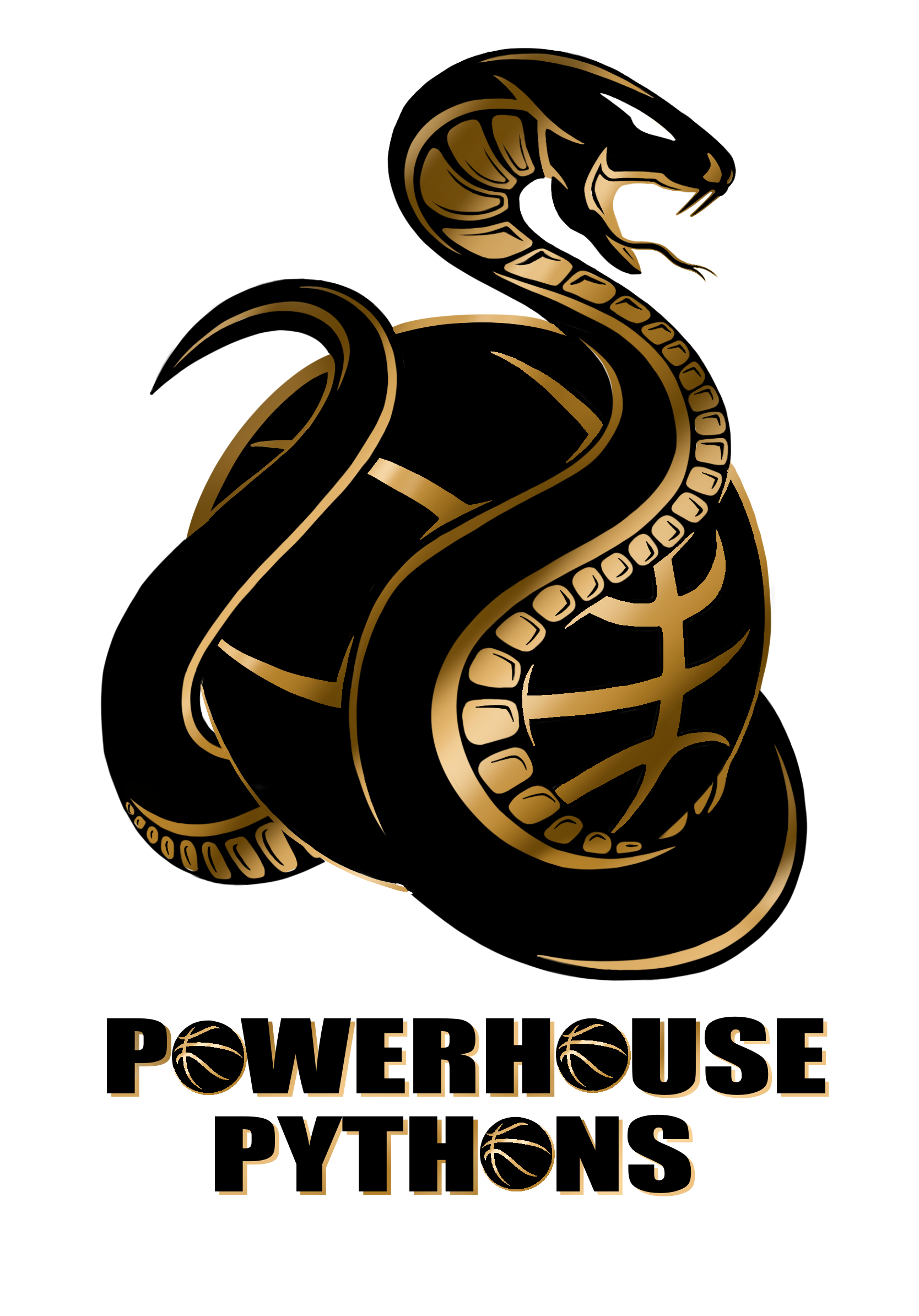 Powerhouse Sports 15U - 1