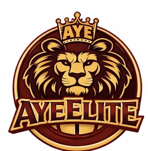 Aye Elite 15U - 1