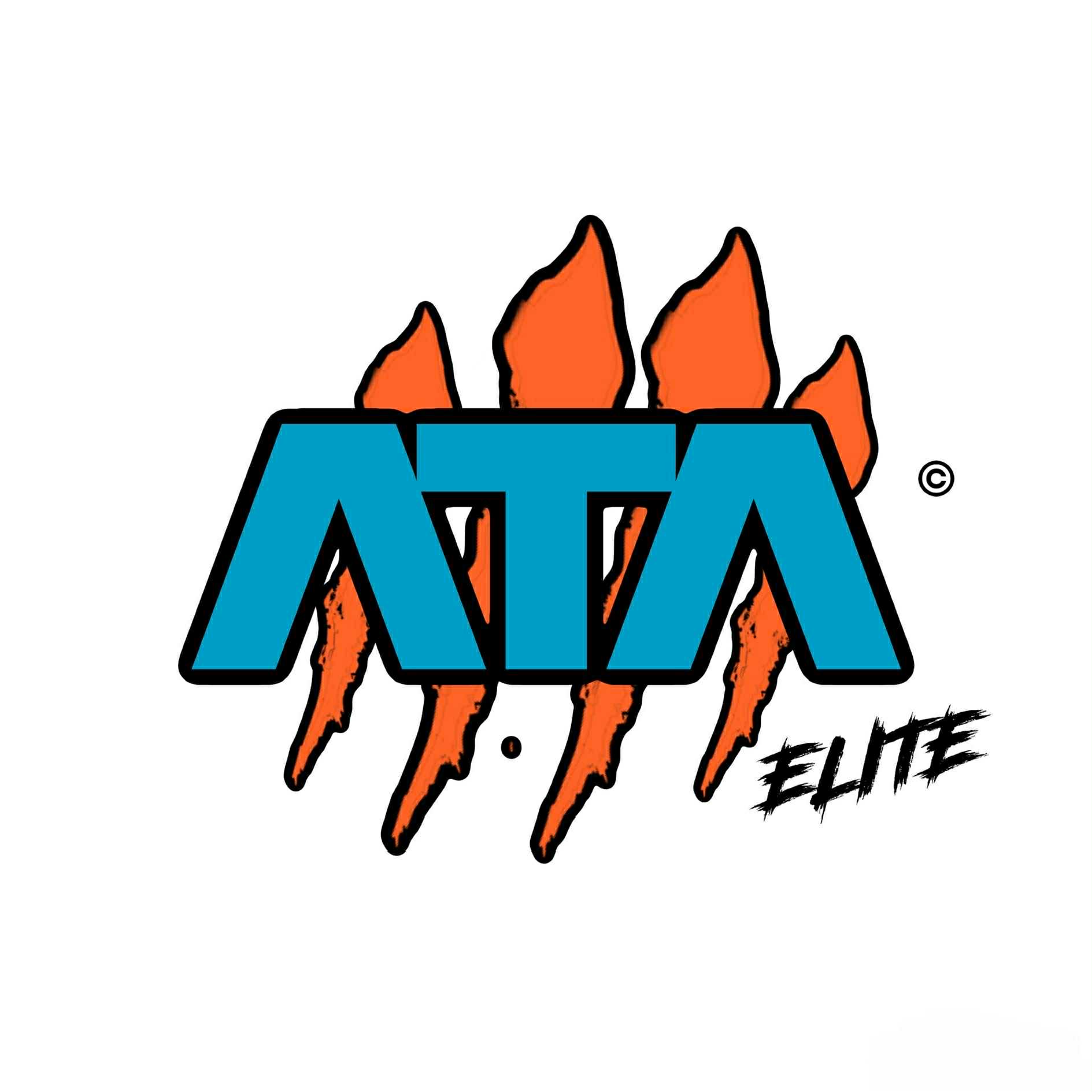 Ata elite 15U - 1