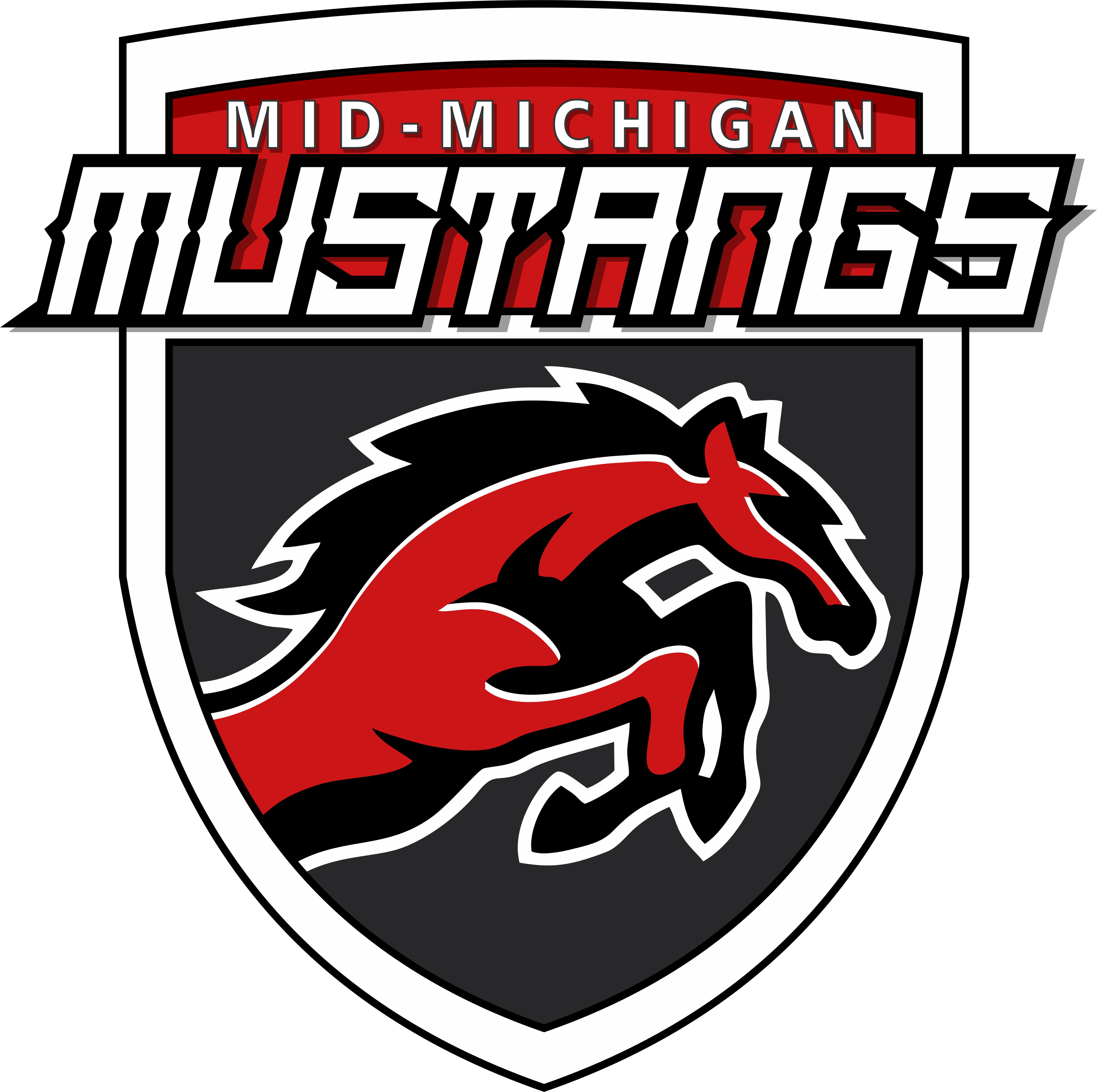 Mid Michigan Mustangs 15U - 1