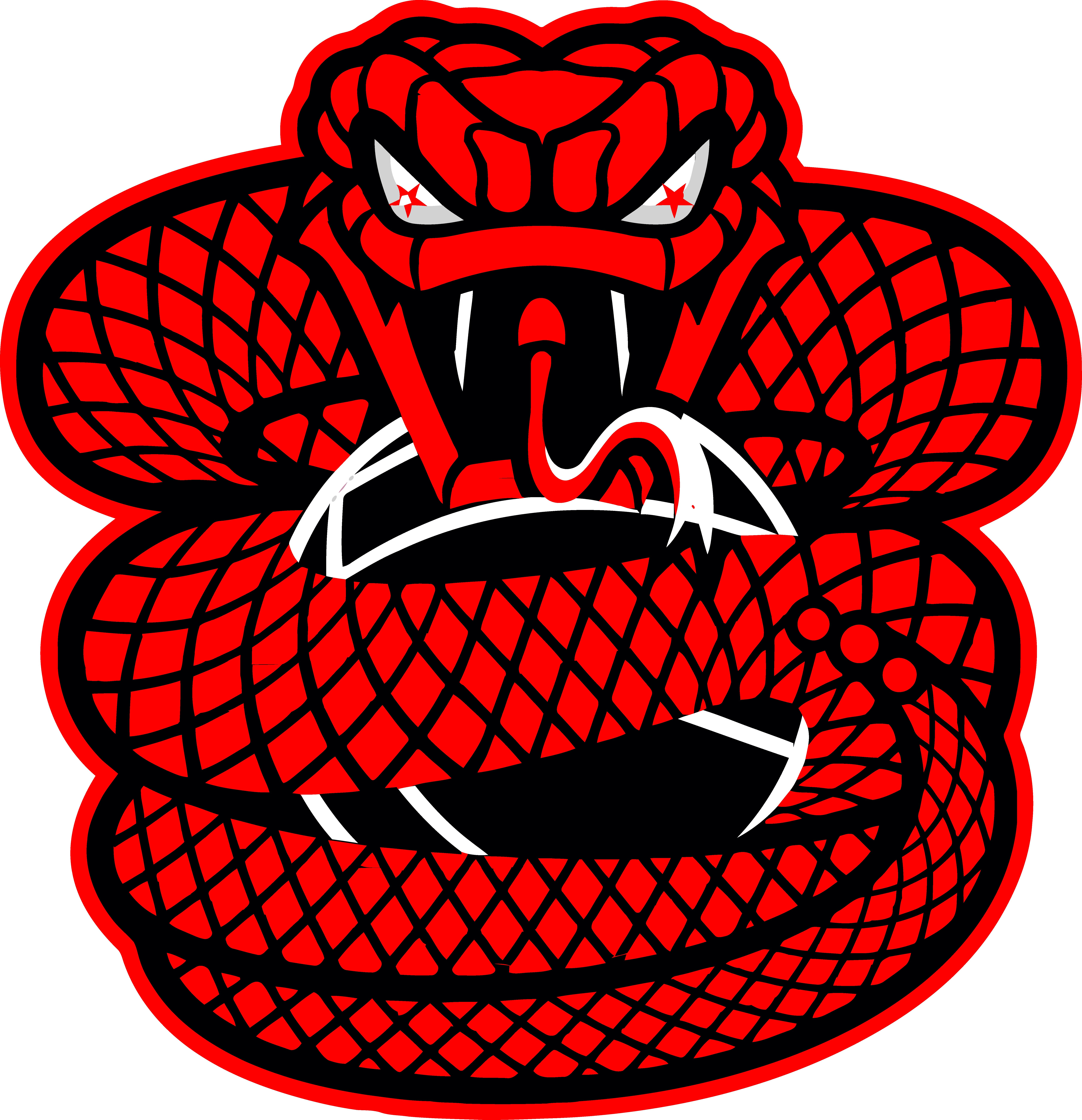 Anaconda Allstars 15U