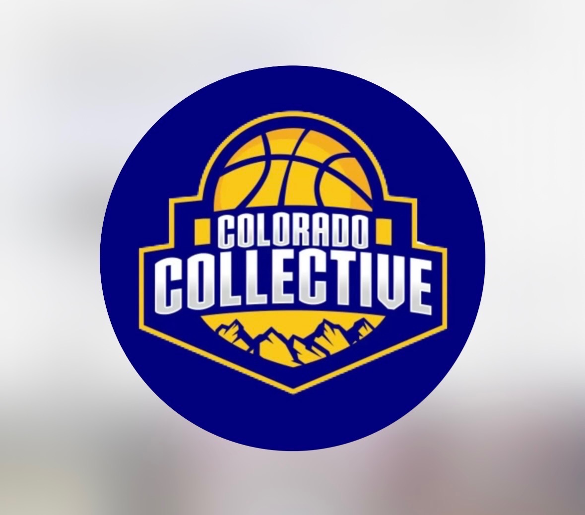 CO Collective 15U